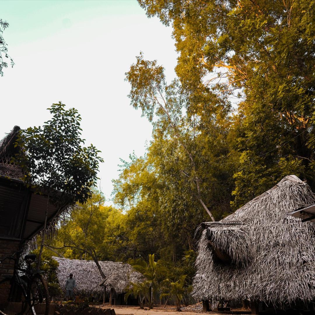 Nebula Nest Cafe & Hostel Auroville Exterior photo