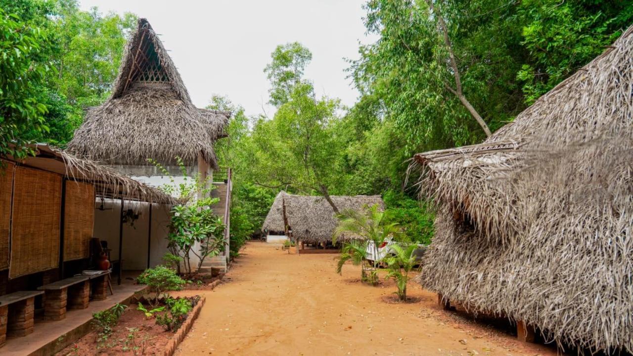 Nebula Nest Cafe & Hostel Auroville Exterior photo